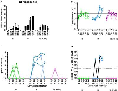 Increased Susceptibility of Cattle to Intranasal RVFV Infection